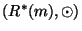 $(R^*(m),\odot)$